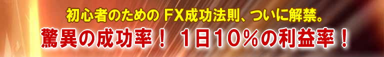 FX���S�҃f�C�g���[�h����K���@����